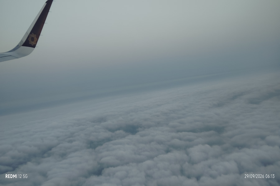 in the flight