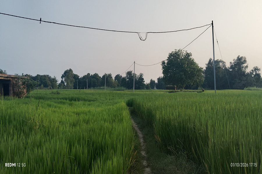 Through the Village farms