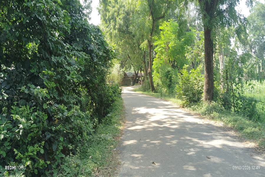 Returning from Village